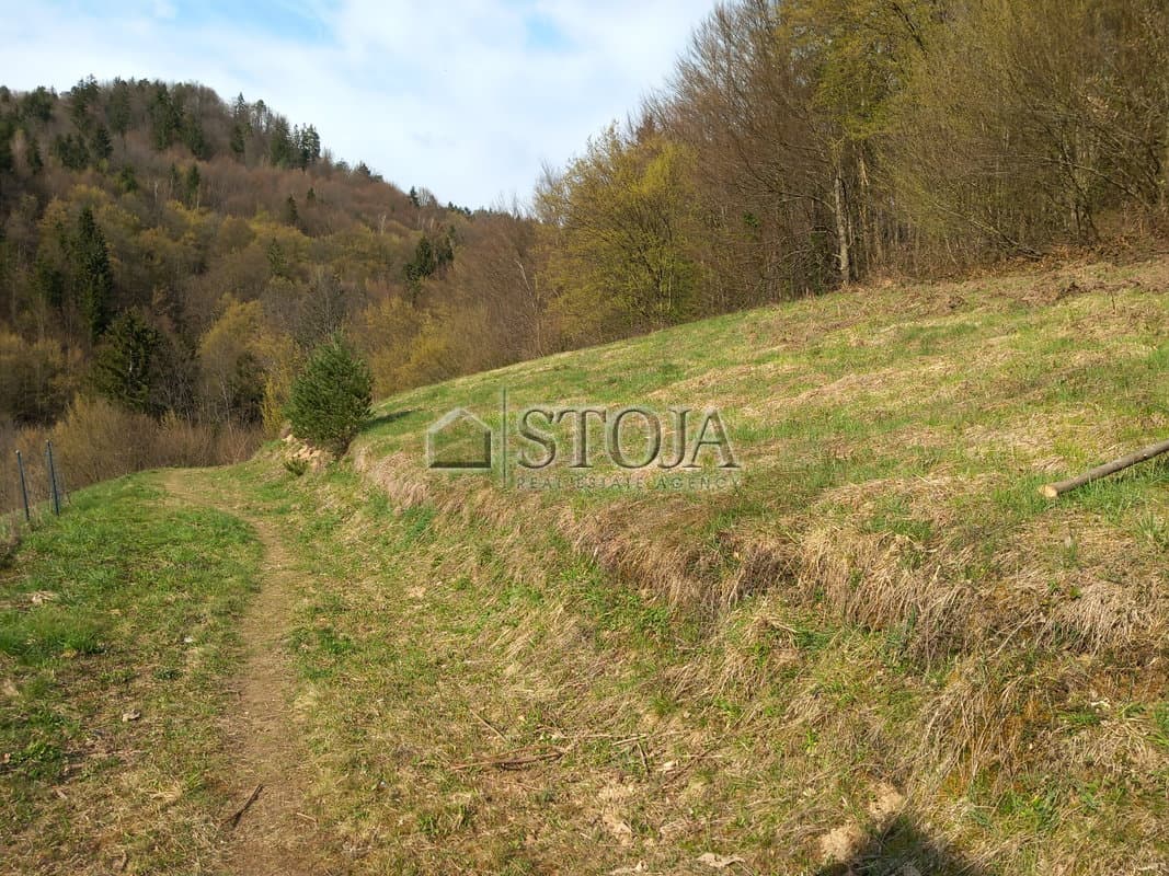 Prodaja, Parcela, Zazidljiva, Ljubljana mesto, Moste-Polje, Besnica, 5544 m2 — photo 3 of 6