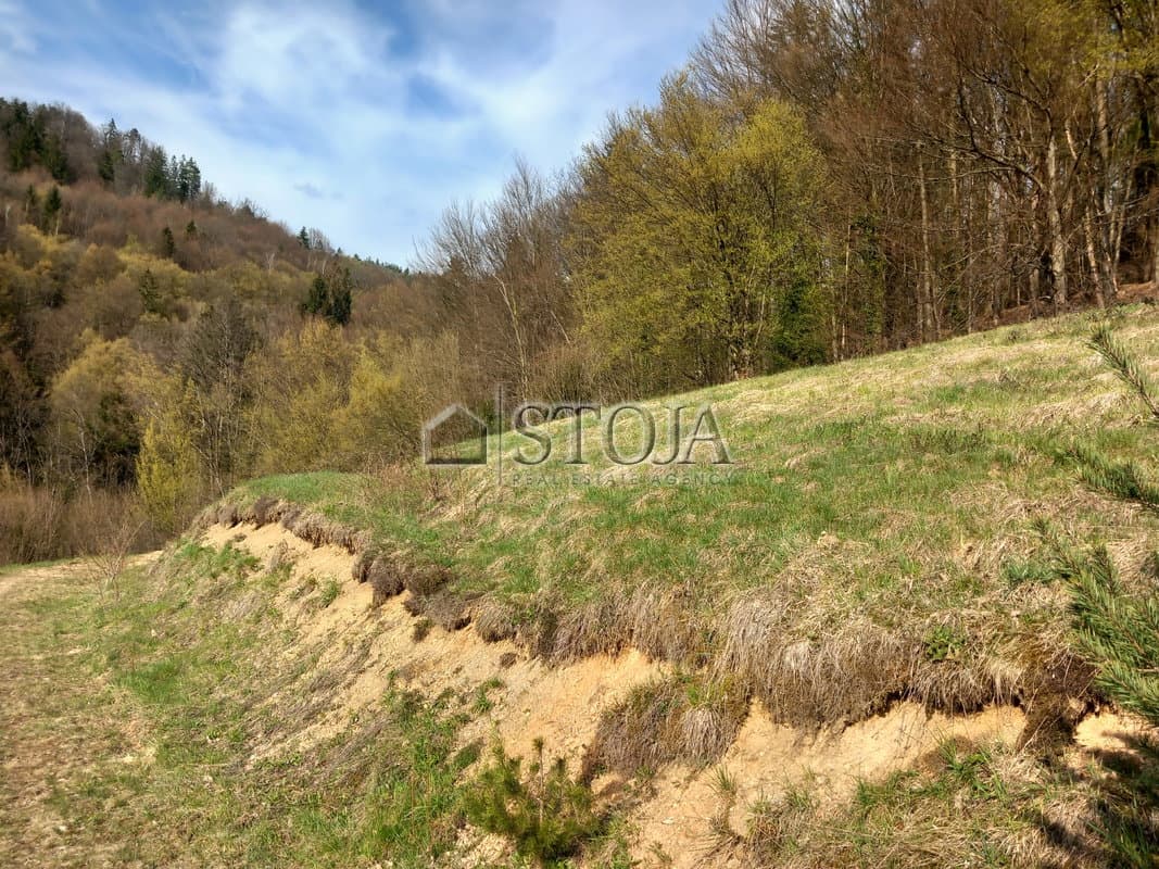 Prodaja, Parcela, Zazidljiva, Ljubljana mesto, Moste-Polje, Besnica, 5544 m2 — photo 6 of 6