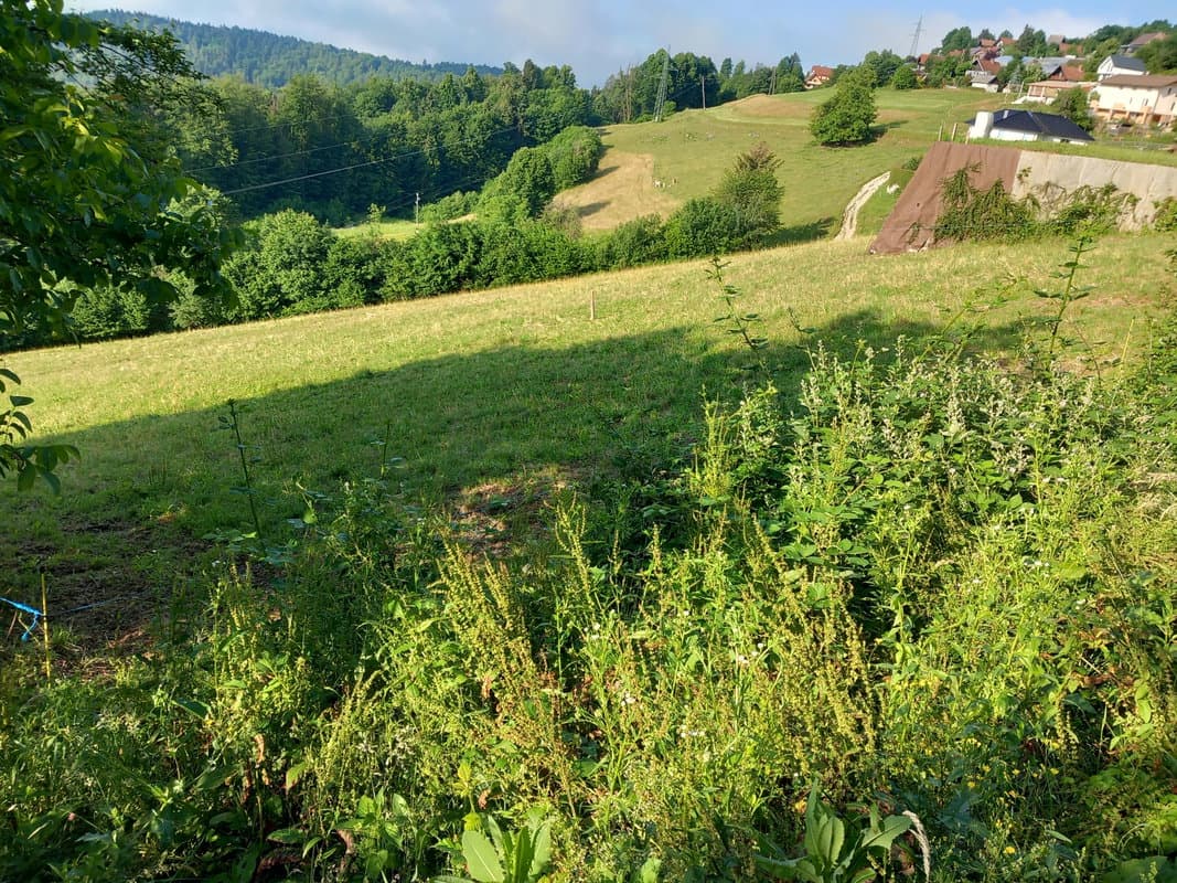 Prodaja, Parcela, Zazidljiva, Ljubljana okolica, Mengeš, Dobeno, 2531 m2 — photo 1 of 7
