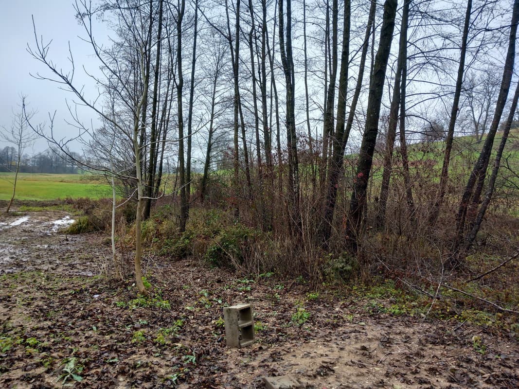 Prodaja, Parcela, Nezazidljiva, Ljubljana mesto, Vič-Rudnik, Rudnik, 854 m2 — photo 1 of 4