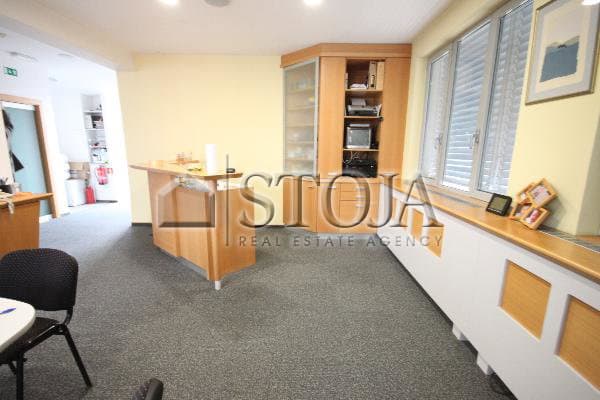 Oddaja, Hiša, Samostojna, Ljubljana mesto, Šiška, 543 m2 — photo 3 of 13