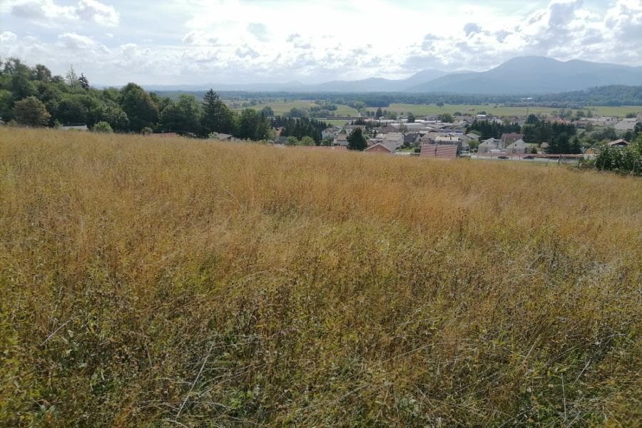 Prodaja, Parcela, Zazidljiva, Ljubljana okolica, Brezovica, 3109 m2 — photo 1 of 5