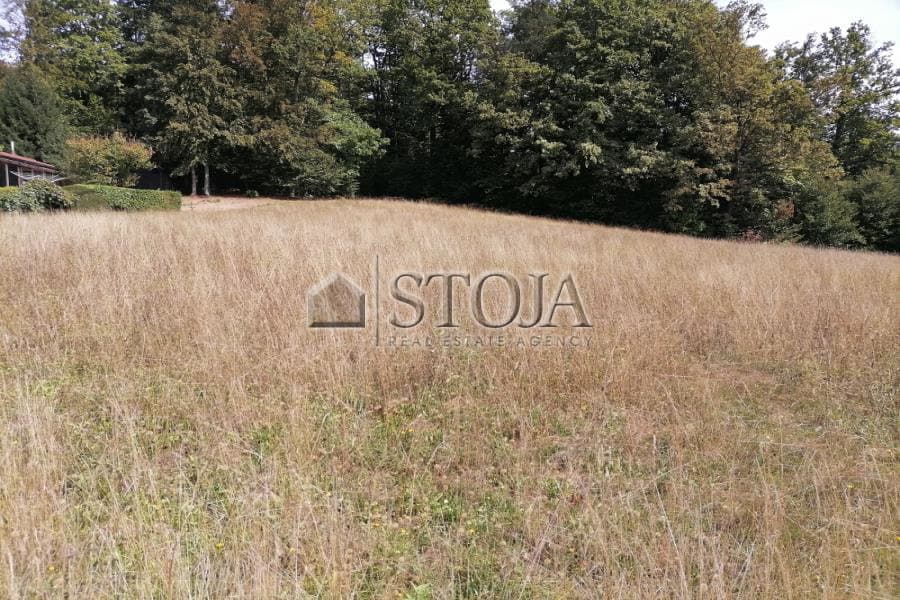 Prodaja, Parcela, Zazidljiva, Ljubljana okolica, Brezovica, 3109 m2 — photo 4 of 5