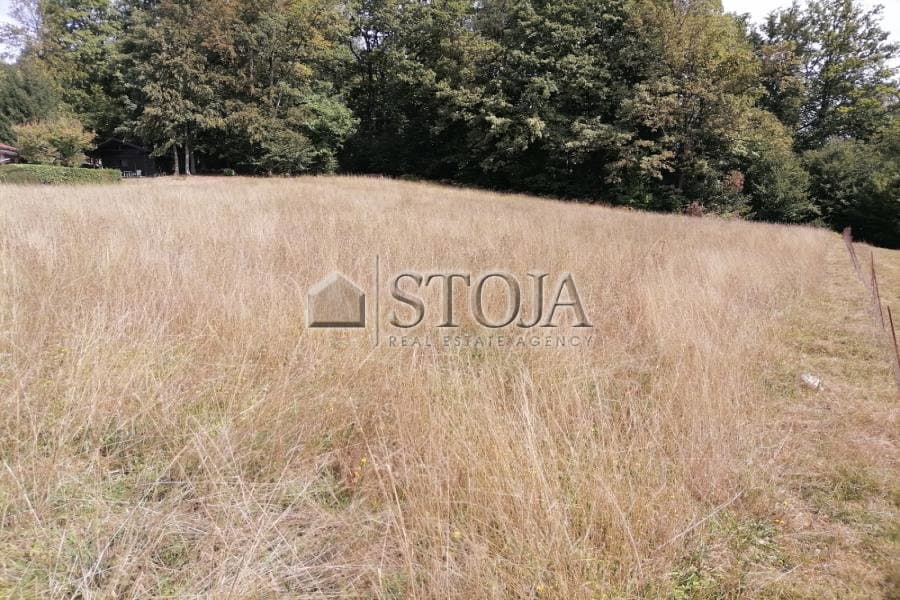 Prodaja, Parcela, Zazidljiva, Ljubljana okolica, Brezovica, 3109 m2 — photo 5 of 5