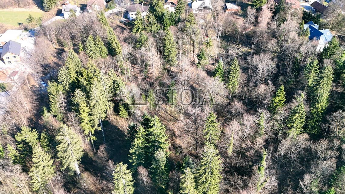 Prodaja, Parcela, Zazidljiva, Ljubljana okolica, Ig, Ig, 10589 m2 — photo 6 of 6