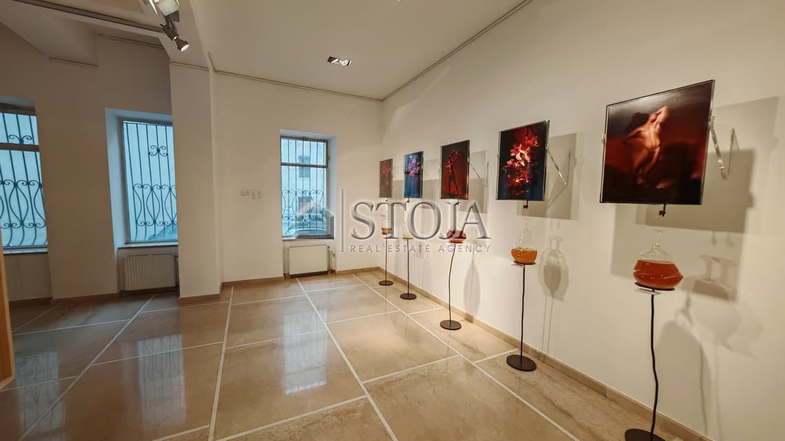 Oddaja, Poslovni prostor, Pisarna, Ljubljana mesto, Center, Center, 248 m2 — photo 2 of 7